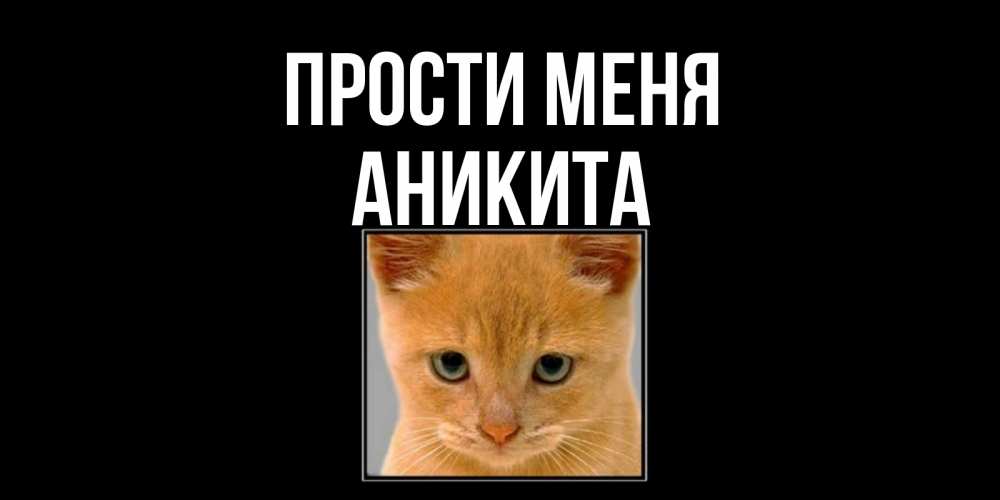 Открытка на каждый день с именем, Аникита Прости меня рыжий грустный кот просит прощения Прикольная открытка с пожеланием онлайн скачать бесплатно 