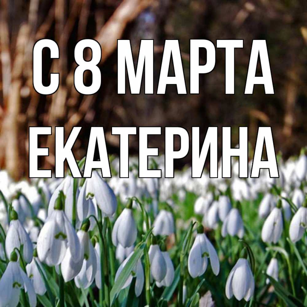 Открытка на каждый день с именем, Екатерина С 8 марта с подснежниками 1 Прикольная открытка с пожеланием онлайн скачать бесплатно 