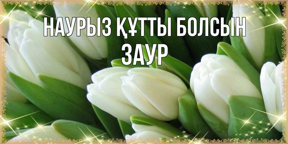 Открытка на каждый день с именем, Заур Наурыз құтты болсын поздравляем с наурызом Прикольная открытка с пожеланием онлайн скачать бесплатно 