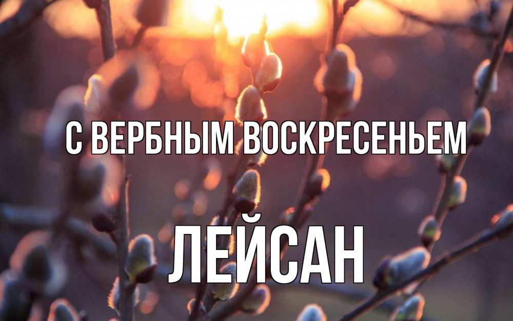 Открытка на каждый день с именем, Лейсан С вербным воскресеньем верба Прикольная открытка с пожеланием онлайн скачать бесплатно 