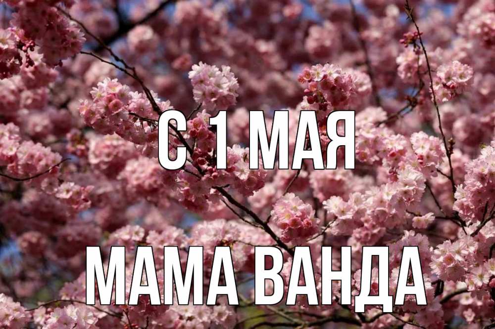 Открытка на каждый день с именем, Мама-Ванда С 1 мая С 1 мая Прикольная открытка с пожеланием онлайн скачать бесплатно 