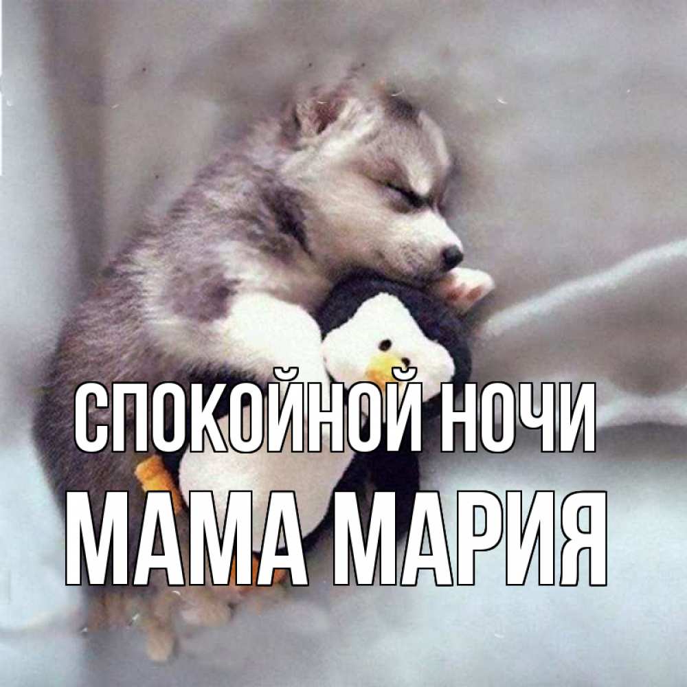 Открытка на каждый день с именем, Мама-Мария Спокойной ночи обнимашки щенка и пингвина Прикольная открытка с пожеланием онлайн скачать бесплатно 