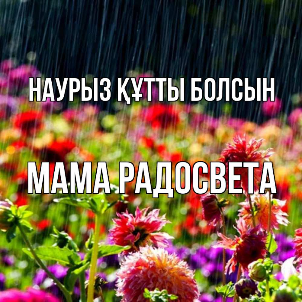 Открытка на каждый день с именем, Мама-Радосвета Наурыз құтты болсын цветы под дождиком к наурызу Прикольная открытка с пожеланием онлайн скачать бесплатно 