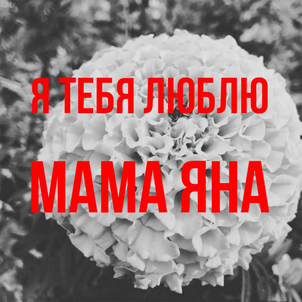 Открытка на каждый день с именем, Мама-Яна Я тебя люблю подпись Прикольная открытка с пожеланием онлайн скачать бесплатно 