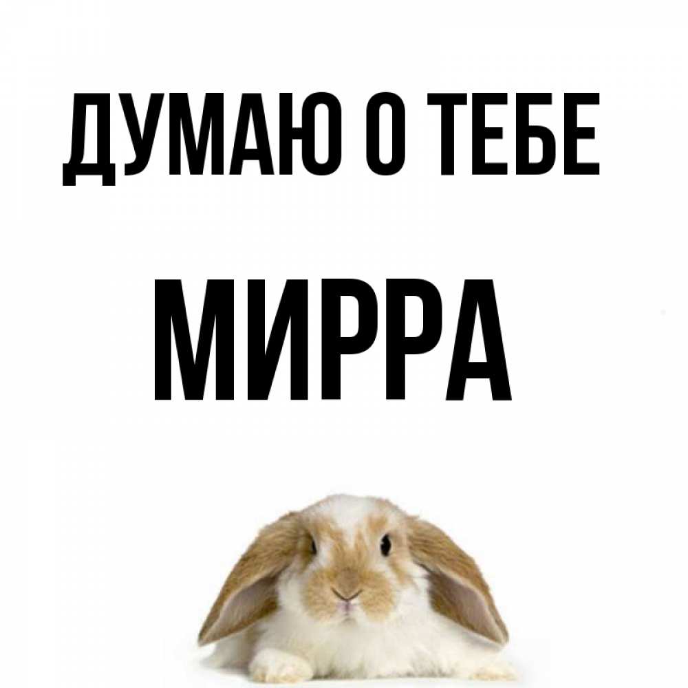 Открытка на каждый день с именем, Мирра Думаю о тебе подписать своими руками онлайн Прикольная открытка с пожеланием онлайн скачать бесплатно 