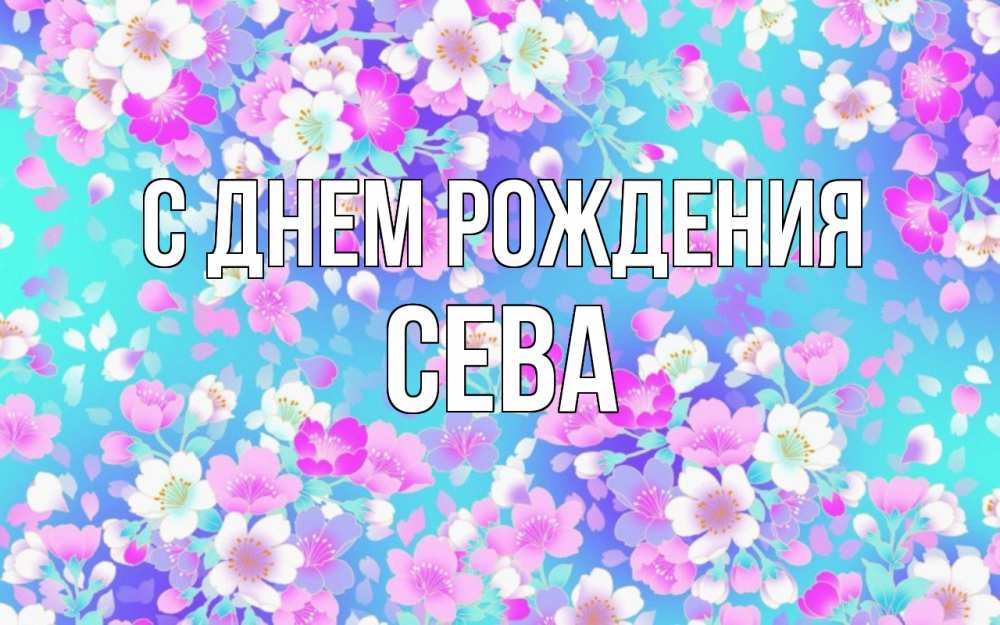 Открытка на каждый день с именем, Сева С днем рождения открытка с заливкой Прикольная открытка с пожеланием онлайн скачать бесплатно 