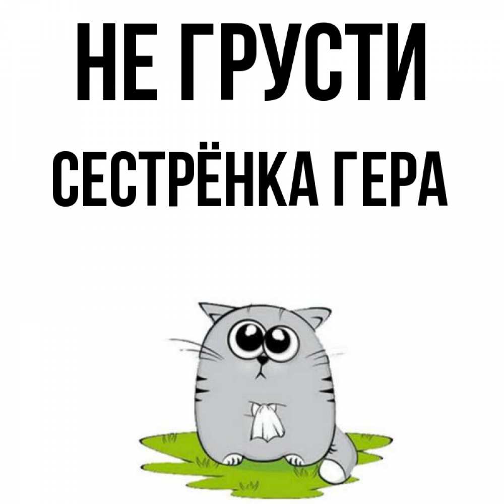Открытка на каждый день с именем, Сестрёнка-Гера Не грусти грустный котяра Прикольная открытка с пожеланием онлайн скачать бесплатно 