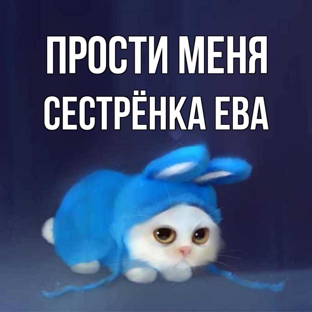 Открытка на каждый день с именем, Сестрёнка-Ева Прости меня невинный котозай просит прощения Прикольная открытка с пожеланием онлайн скачать бесплатно 
