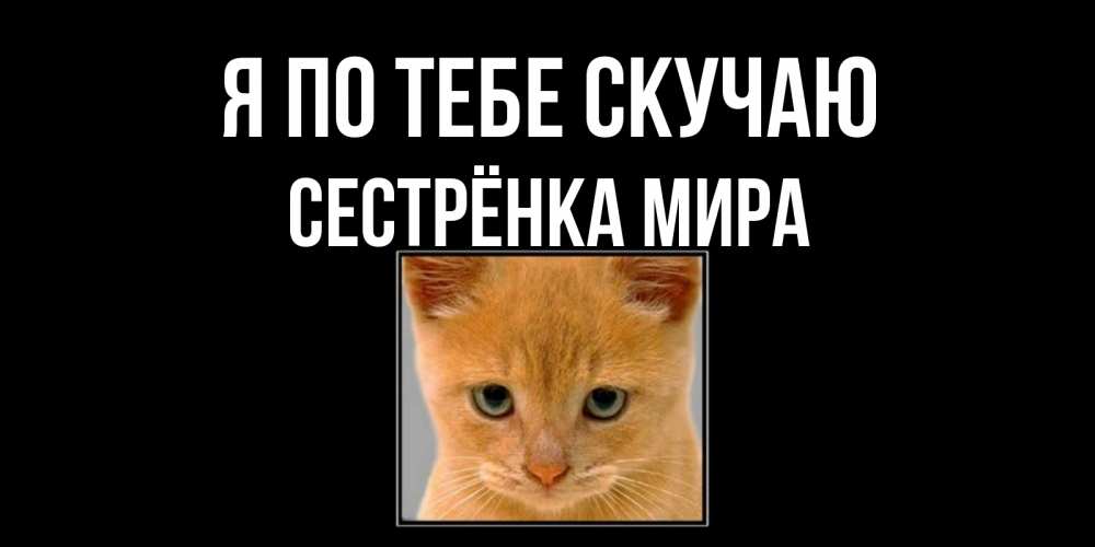Открытка на каждый день с именем, Сестрёнка-Мира Я по тебе скучаю открытки рыжий котенок скучает по тебе Прикольная открытка с пожеланием онлайн скачать бесплатно 