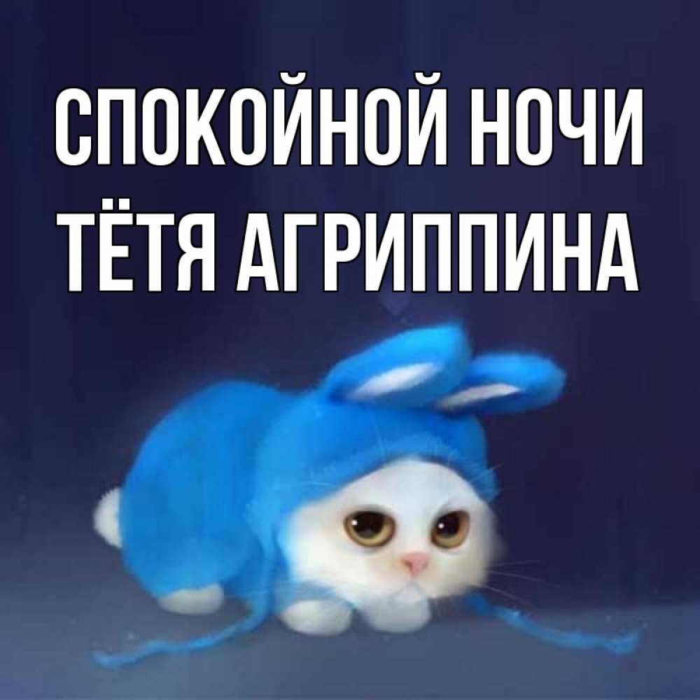 Открытка на каждый день с именем, Тётя-Агриппина Спокойной ночи кот в голубом костюме кролика с ушками Прикольная открытка с пожеланием онлайн скачать бесплатно 
