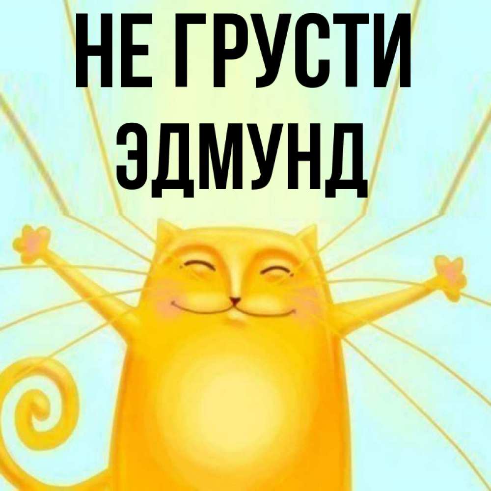 Открытка на каждый день с именем, Эдмунд Не грусти обнимашки усатые Прикольная открытка с пожеланием онлайн скачать бесплатно 