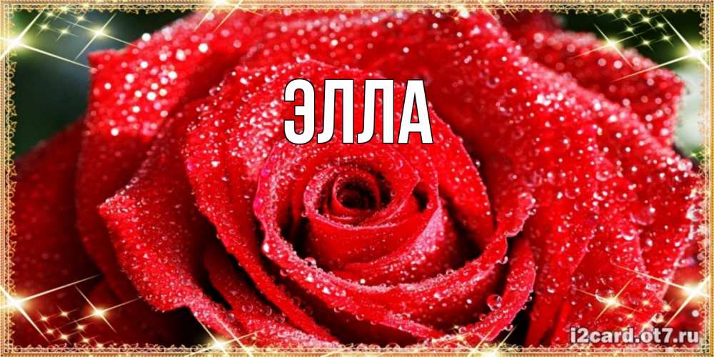 Открытка на каждый день с именем, Элла Главная роса и роза. открытка с красивой розой Прикольная открытка с пожеланием онлайн скачать бесплатно 