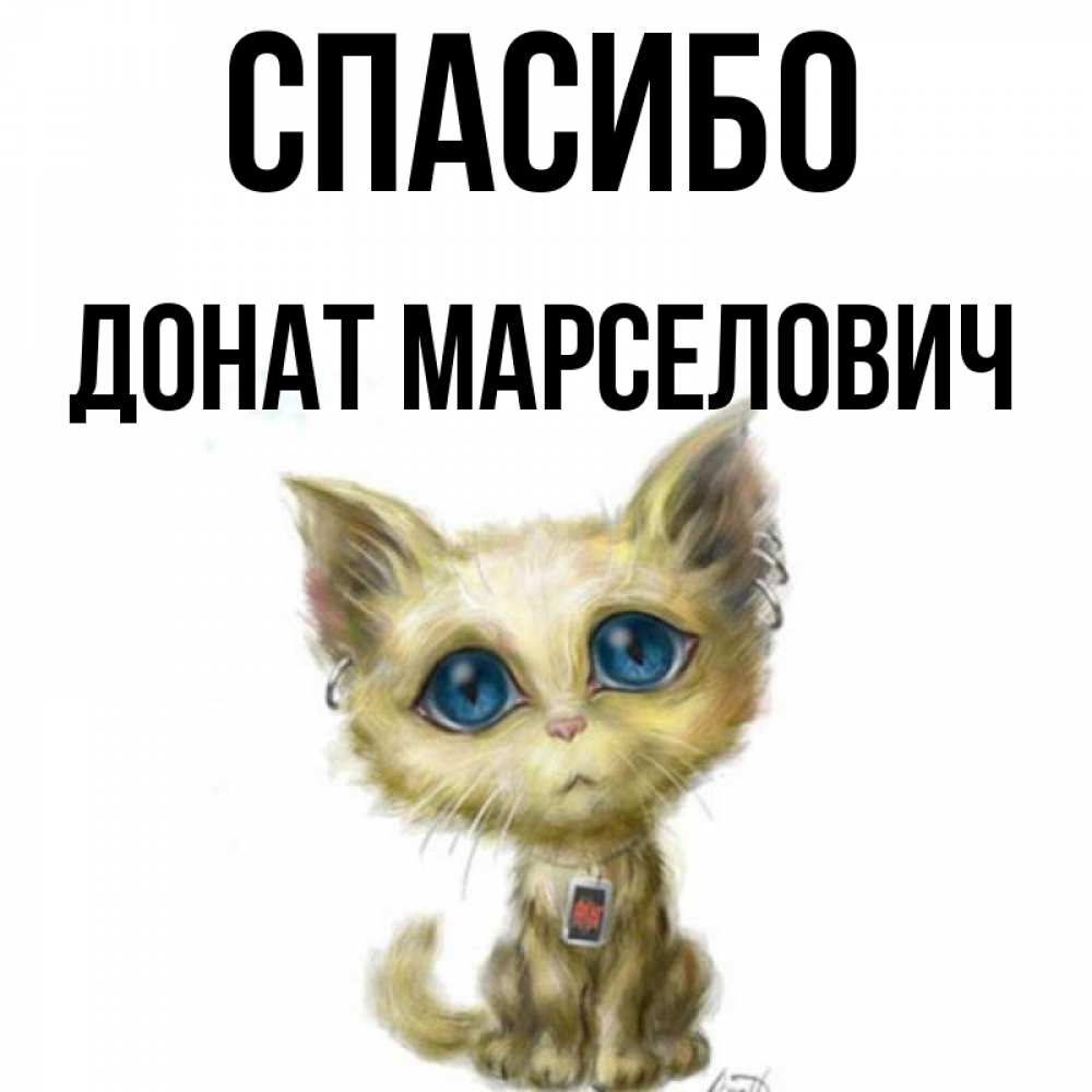 Спасибо за донат. Спасибо за донат