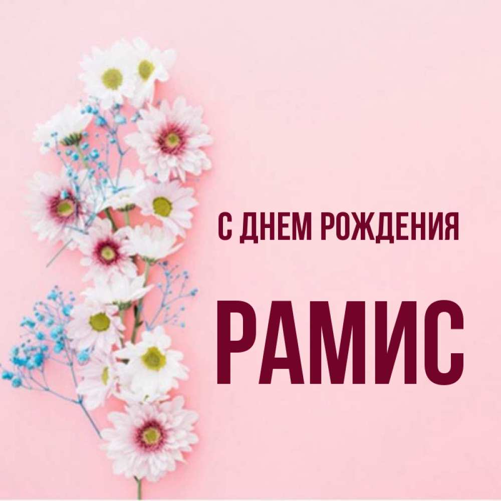 С днем рождения рамис картинки
