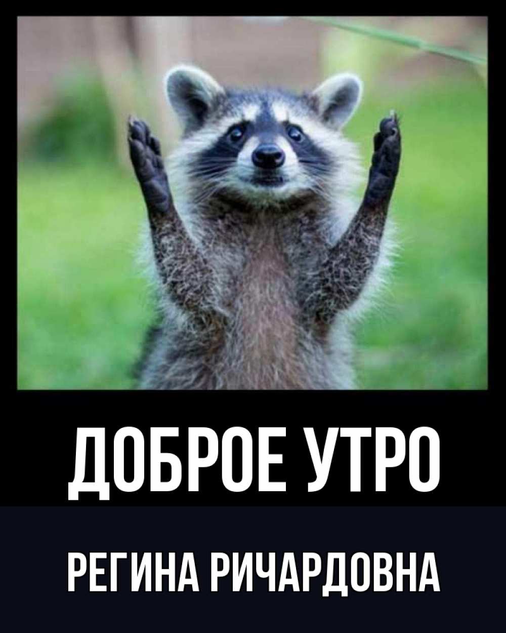 Картинки с добрым утром с енотами