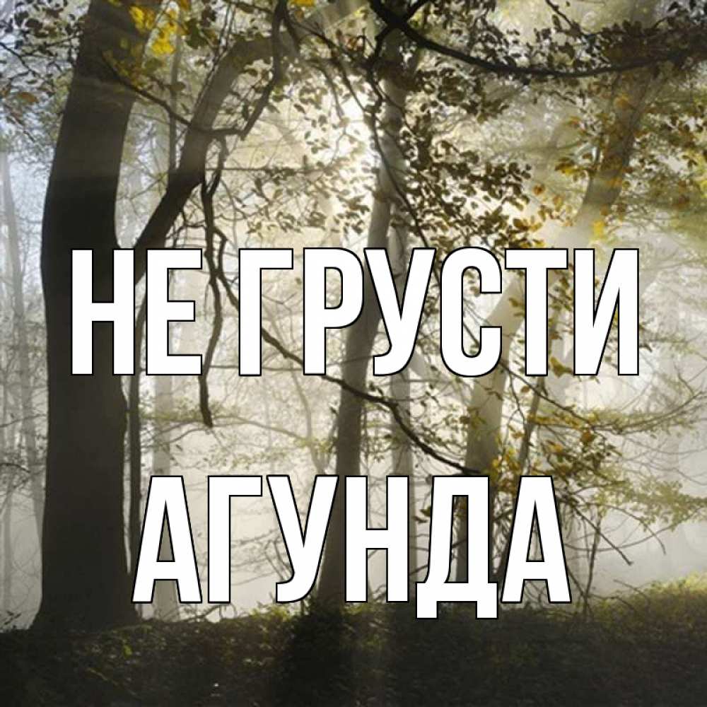 Открытка на каждый день с именем, Агунда Не грусти лес и свет Прикольная открытка с пожеланием онлайн скачать бесплатно 
