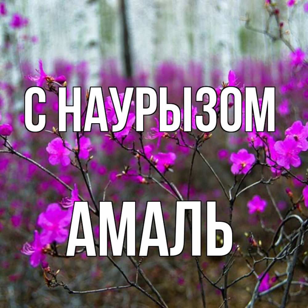 Открытка на каждый день с именем, Амаль С наурызом дикие цветы Прикольная открытка с пожеланием онлайн скачать бесплатно 