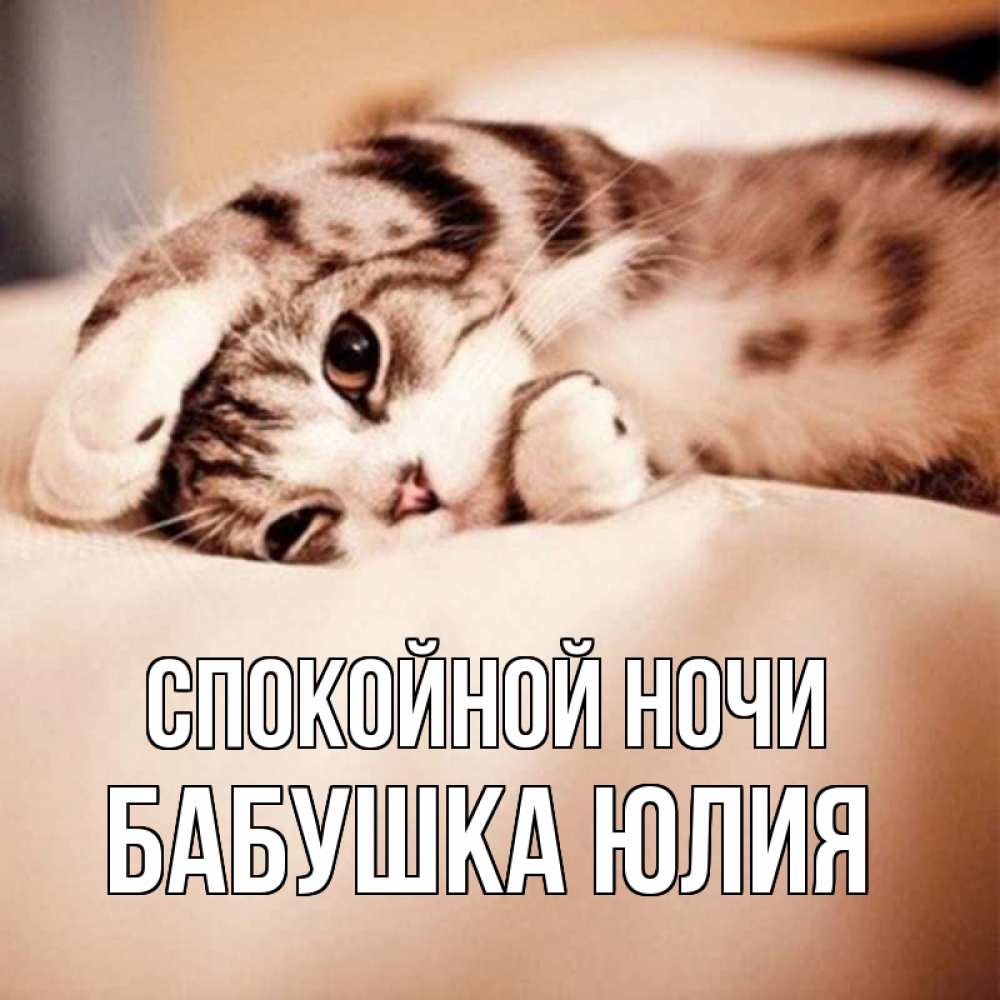 Открытка на каждый день с именем, Бабушка-Юлия Спокойной ночи сладких снов с животными Прикольная открытка с пожеланием онлайн скачать бесплатно 
