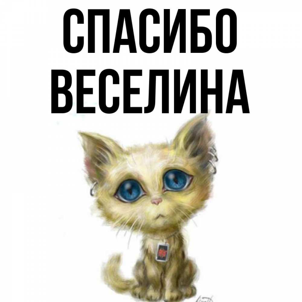 Открытка на каждый день с именем, Веселина Спасибо рисованный кот благодарит вас Прикольная открытка с пожеланием онлайн скачать бесплатно 