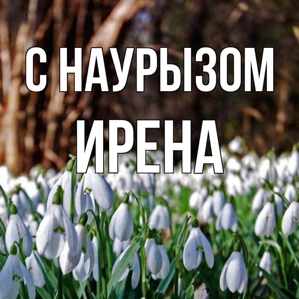 Открытка на каждый день с именем, Ирена С наурызом с подснежниками 1 Прикольная открытка с пожеланием онлайн скачать бесплатно 