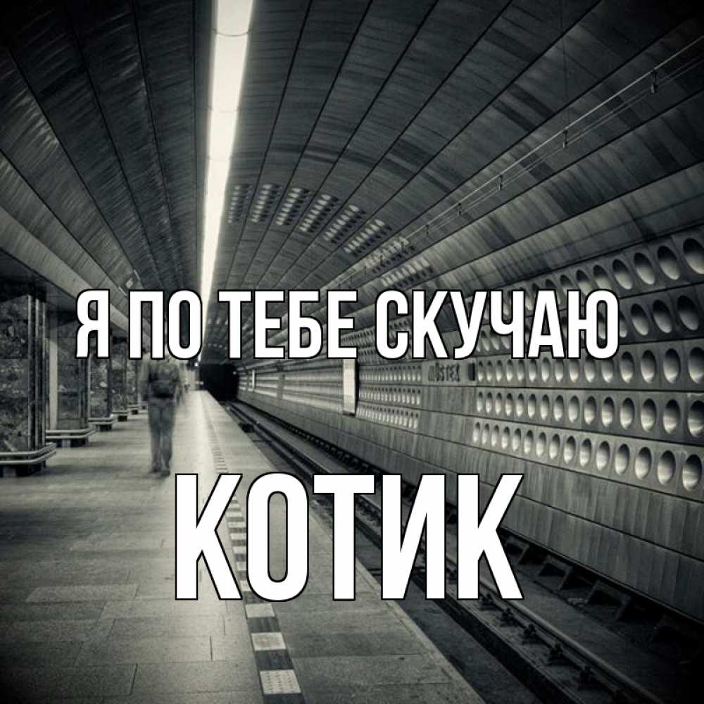 Открытка на каждый день с именем, Котик Я по тебе скучаю приезжай 1 Прикольная открытка с пожеланием онлайн скачать бесплатно 