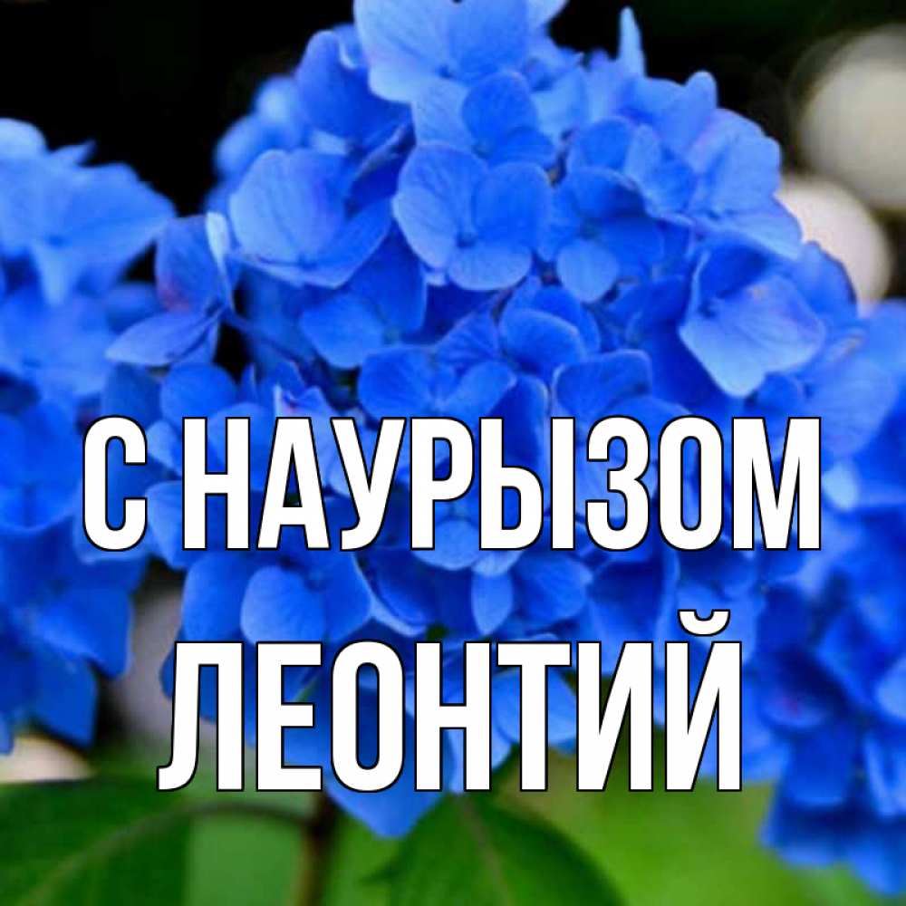 Открытка на каждый день с именем, Леонтий С наурызом синие цветы Прикольная открытка с пожеланием онлайн скачать бесплатно 