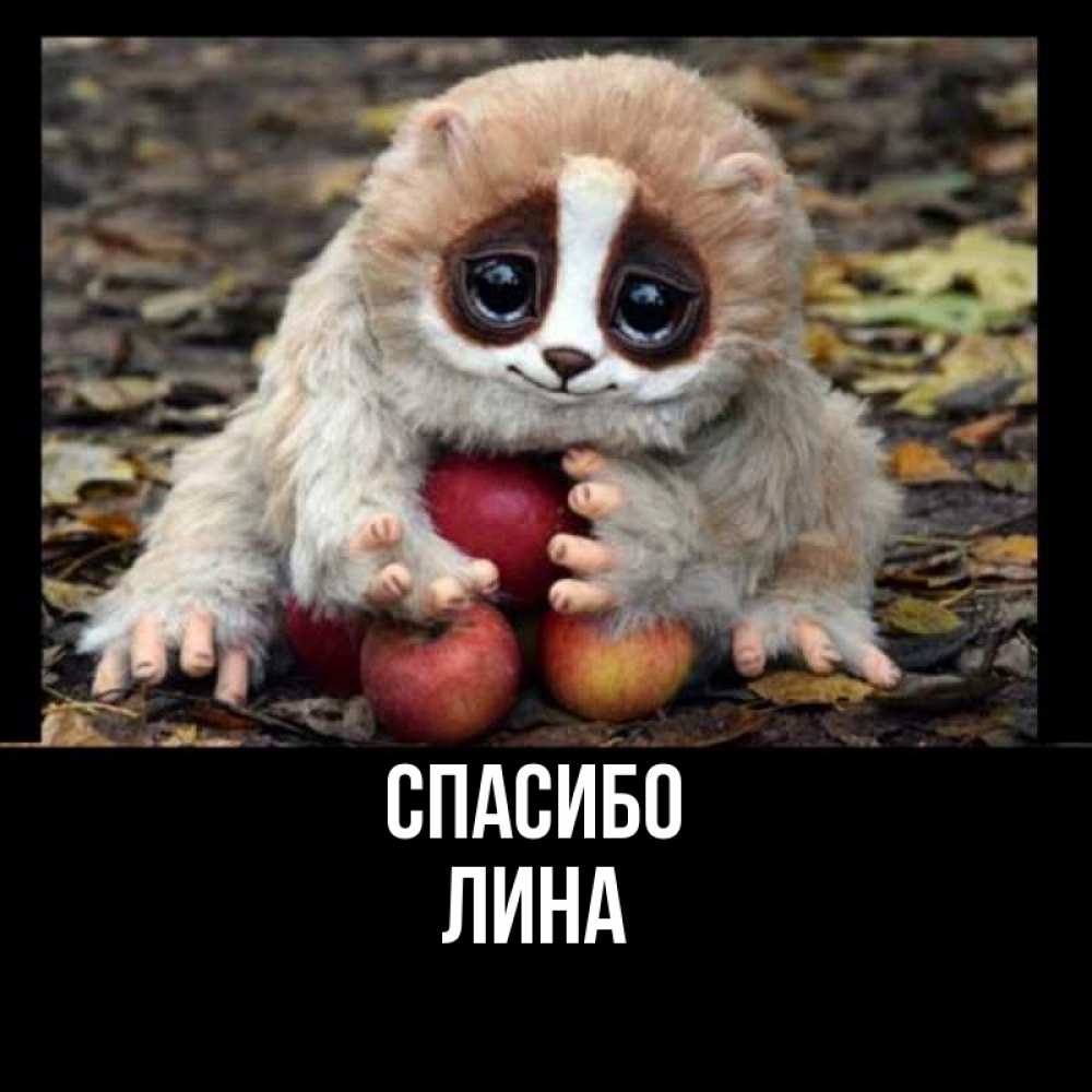 Открытка на каждый день с именем, Лина Спасибо прикольное животное Прикольная открытка с пожеланием онлайн скачать бесплатно 