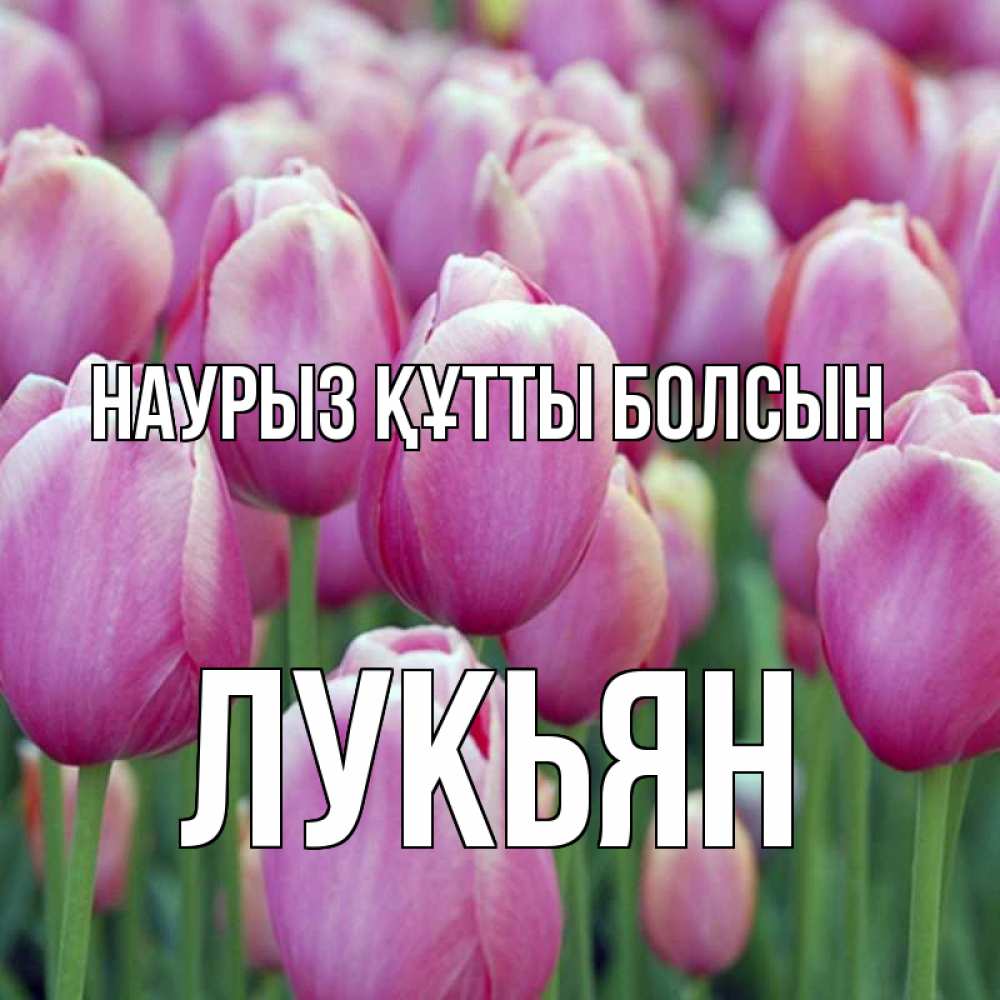 Открытка на каждый день с именем, Лукьян Наурыз құтты болсын на наурыз  день 3 Прикольная открытка с пожеланием онлайн скачать бесплатно 