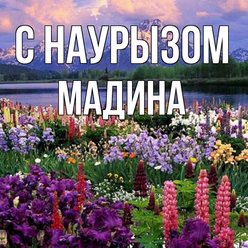 Открытка на каждый день с именем, Мадина С наурызом праздник весны наурыз Прикольная открытка с пожеланием онлайн скачать бесплатно 