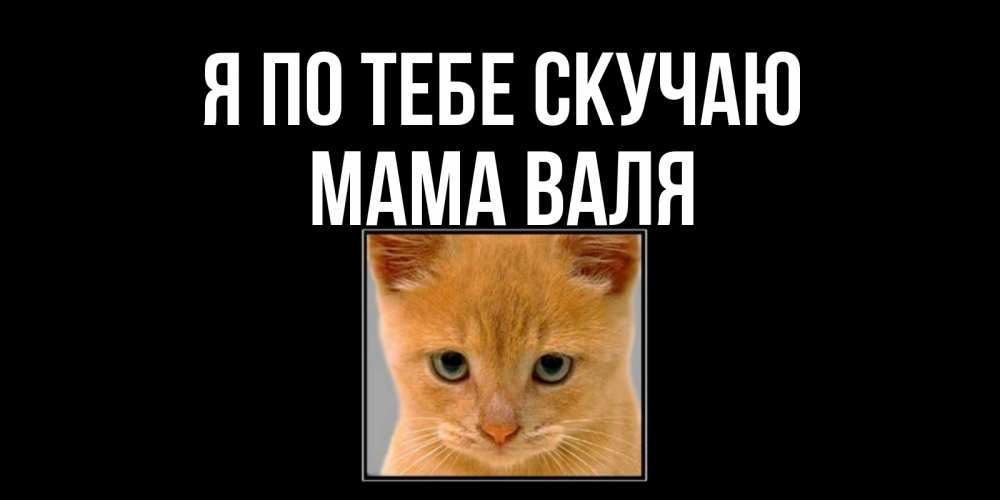 Открытка на каждый день с именем, Мама-Валя Я по тебе скучаю открытки рыжий котенок скучает по тебе Прикольная открытка с пожеланием онлайн скачать бесплатно 