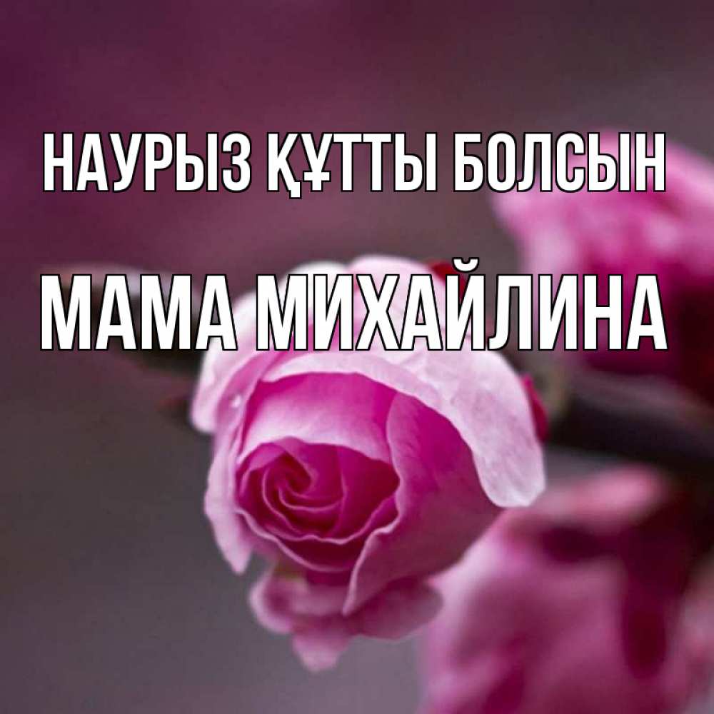 Открытка на каждый день с именем, Мама-Михайлина Наурыз құтты болсын весна Прикольная открытка с пожеланием онлайн скачать бесплатно 