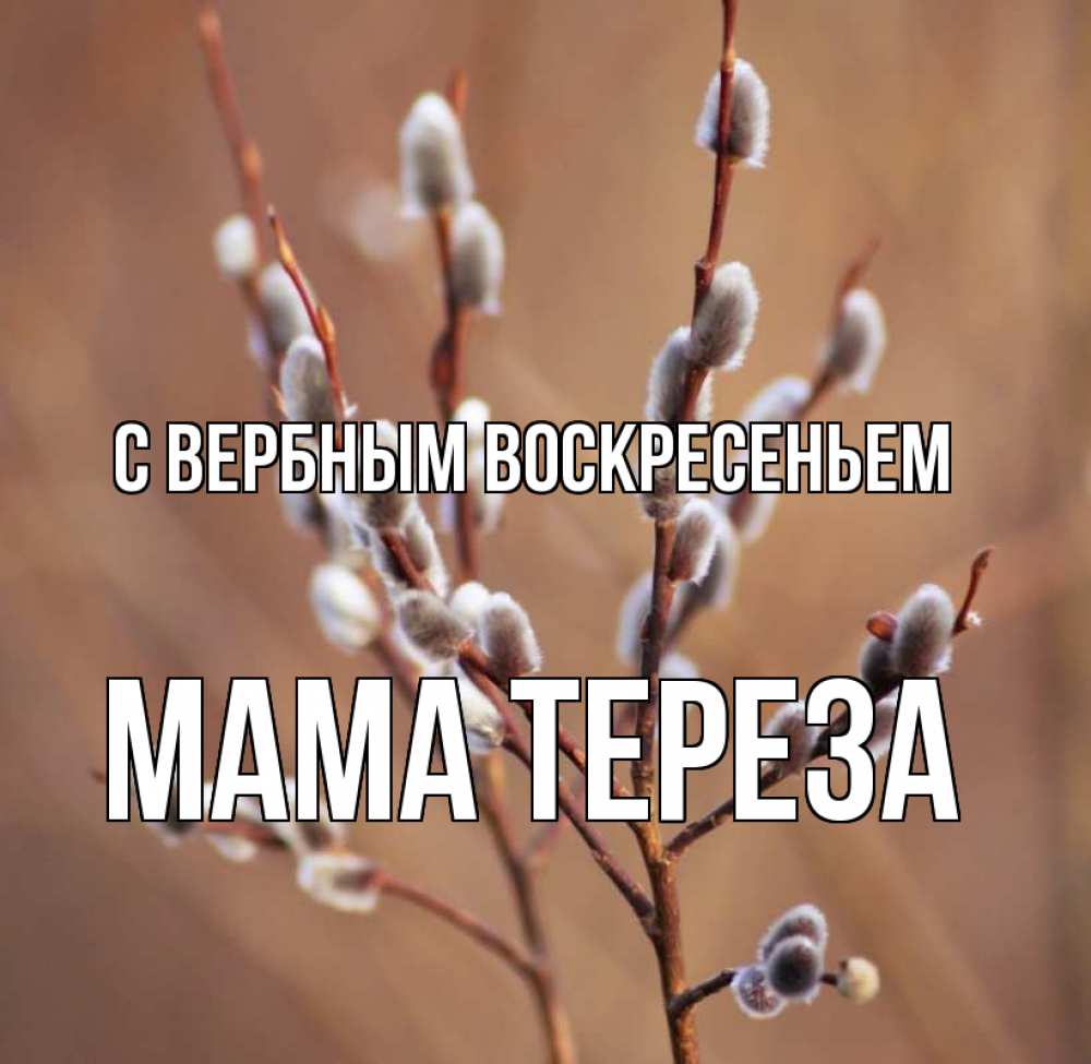 Открытка на каждый день с именем, Мама-Тереза С вербным воскресеньем верба Прикольная открытка с пожеланием онлайн скачать бесплатно 