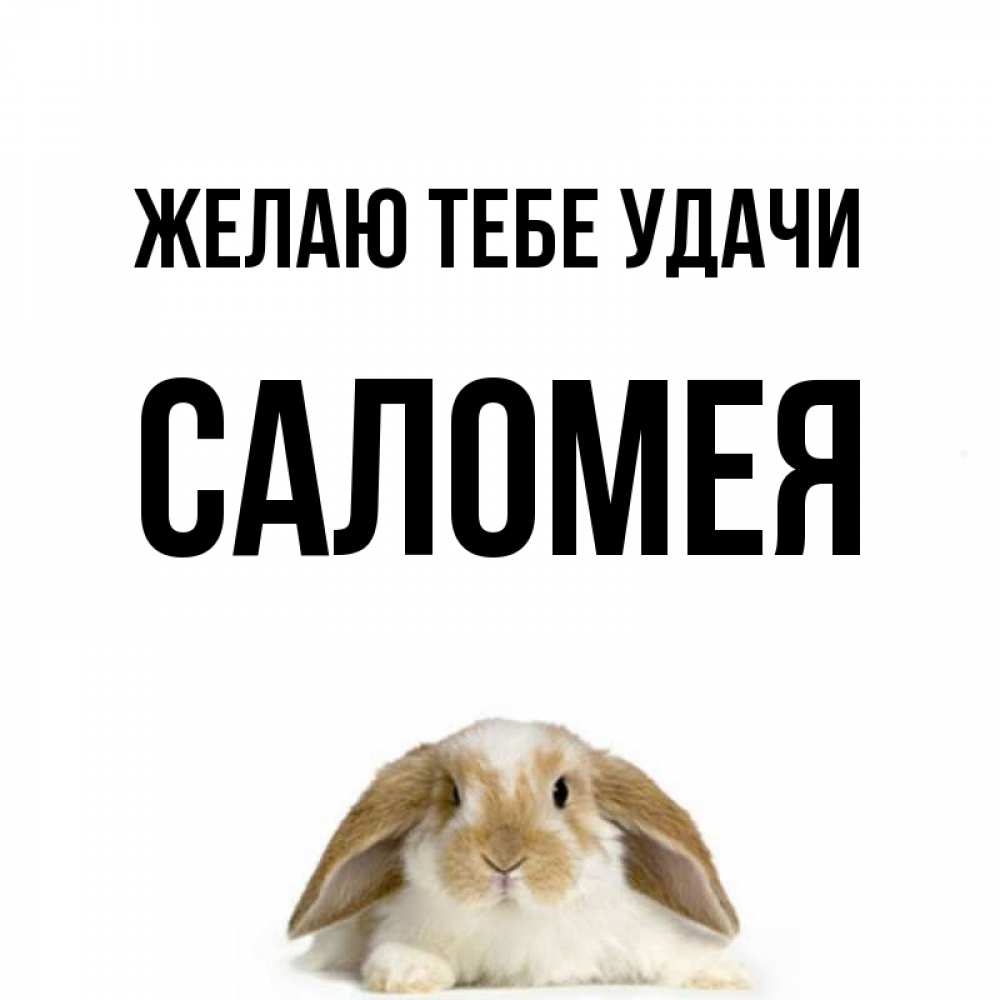 Открытка на каждый день с именем, Саломея Желаю тебе удачи открытки с произвольным текстом который можно вставить в открытку и создать ее самостоятельно бесплатно онлайн Прикольная открытка с пожеланием онлайн скачать бесплатно 