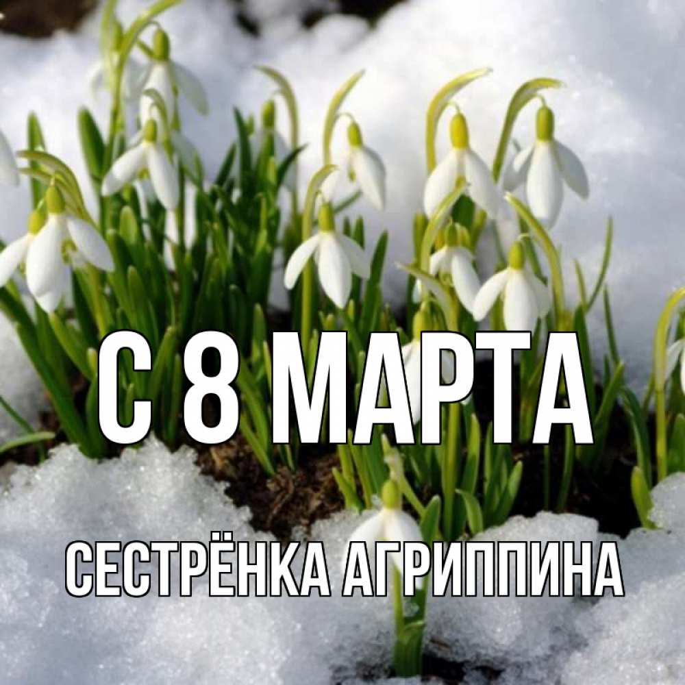 Открытка на каждый день с именем, Сестрёнка-Агриппина С 8 МАРТА цветы весенние Прикольная открытка с пожеланием онлайн скачать бесплатно 