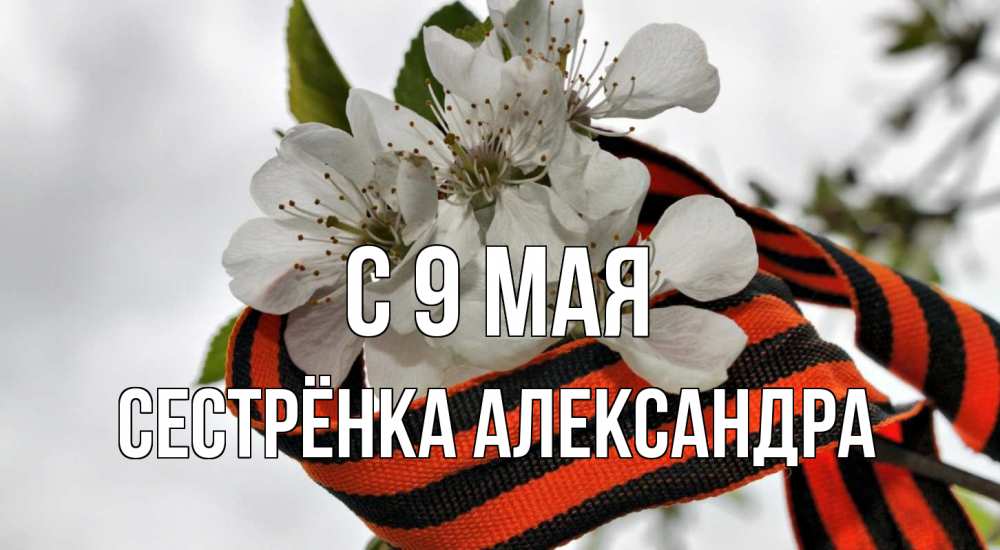 Открытка на каждый день с именем, Сестрёнка-Александра С 9 мая 9 мая Прикольная открытка с пожеланием онлайн скачать бесплатно 