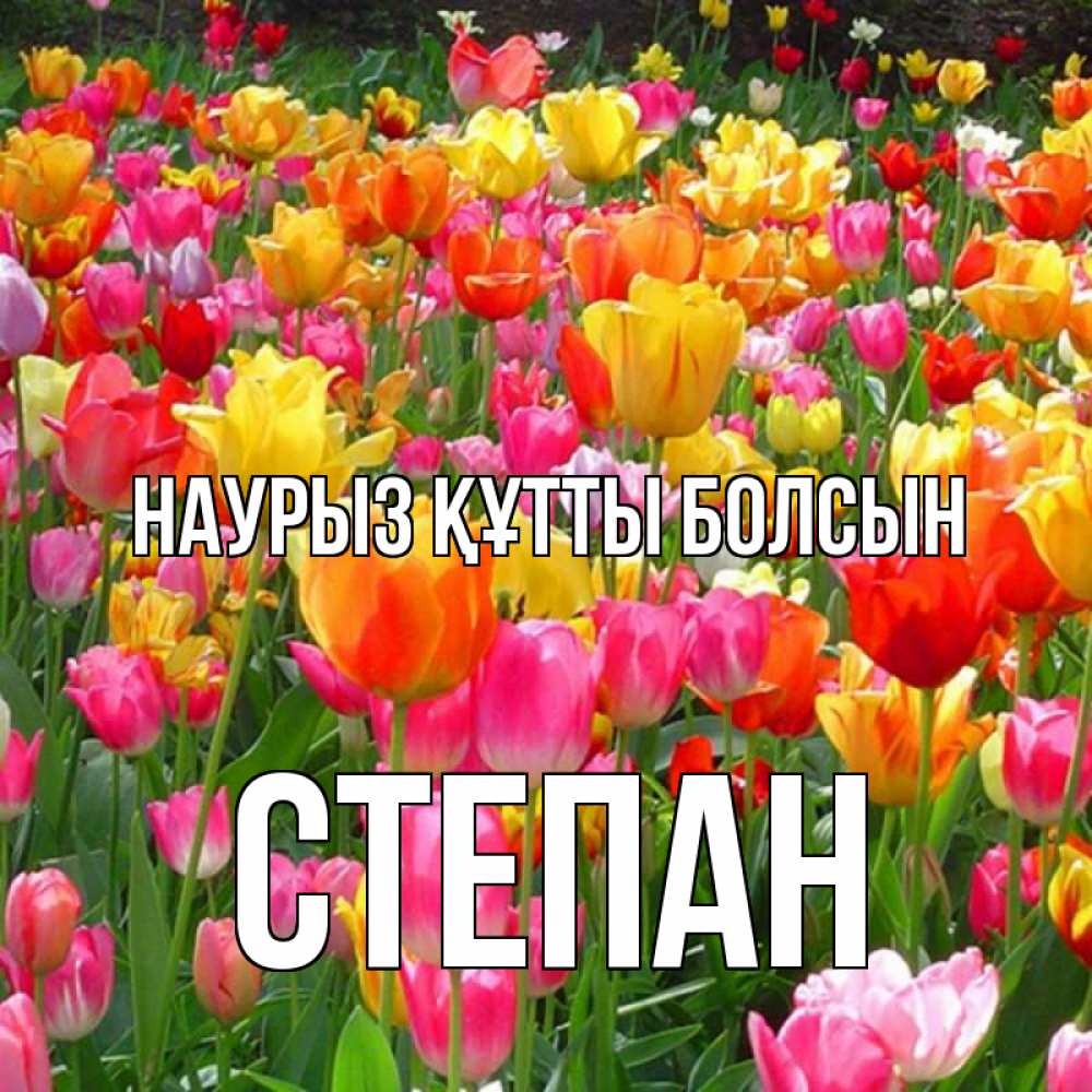 Открытка на каждый день с именем, Степан Наурыз құтты болсын на наурыз  ура ура Прикольная открытка с пожеланием онлайн скачать бесплатно 
