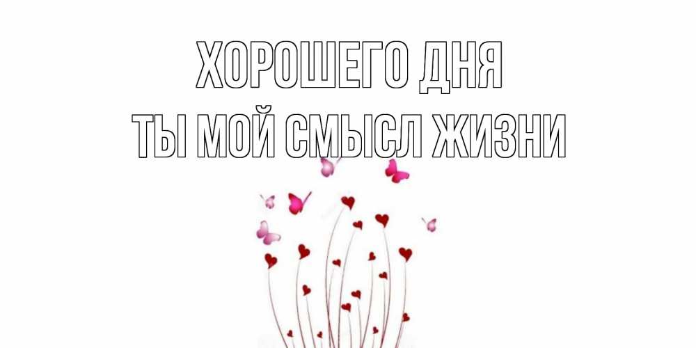 Открытка на каждый день с именем, Ты-мой-смысл-жизни Хорошего дня отличного дня Прикольная открытка с пожеланием онлайн скачать бесплатно 