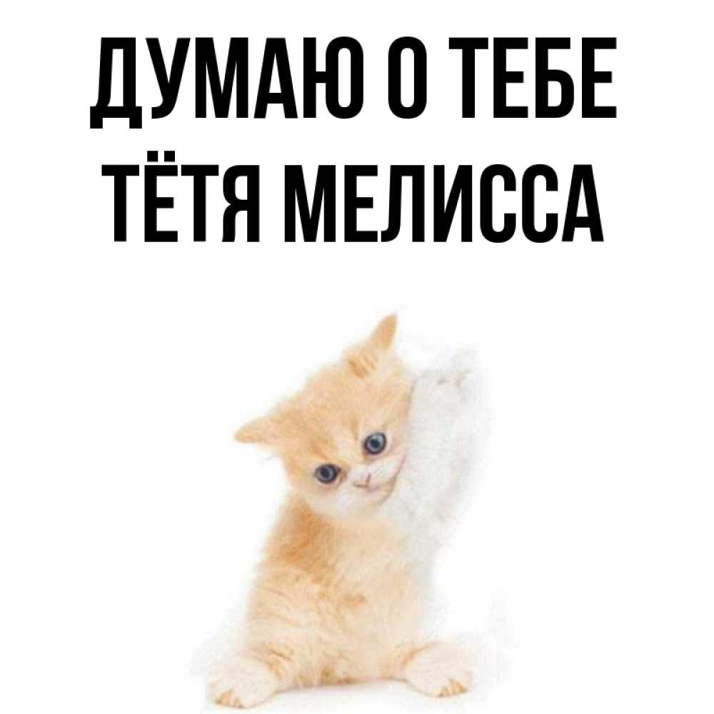 Открытка на каждый день с именем, Тётя-Мелисса Думаю о тебе зверушки и милота Прикольная открытка с пожеланием онлайн скачать бесплатно 