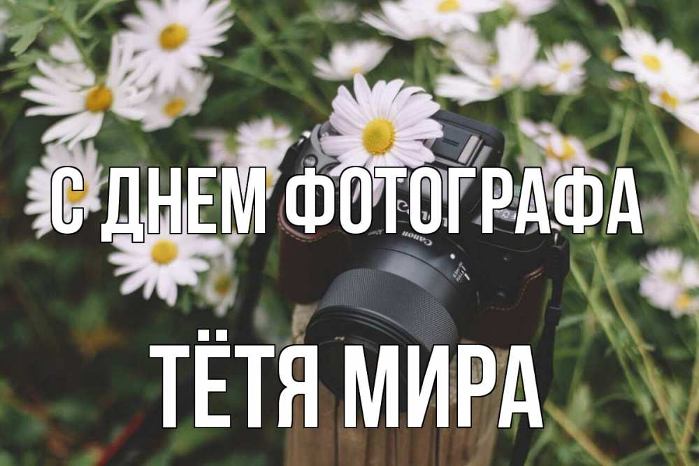 Открытка на каждый день с именем, Тётя-Мира С днем фотографа с днем фотографа Прикольная открытка с пожеланием онлайн скачать бесплатно 