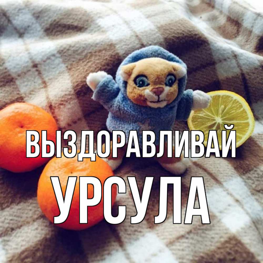 Открытка на каждый день с именем, Урсула Выздоравливай вот тебе апельсинка и лимон Прикольная открытка с пожеланием онлайн скачать бесплатно 