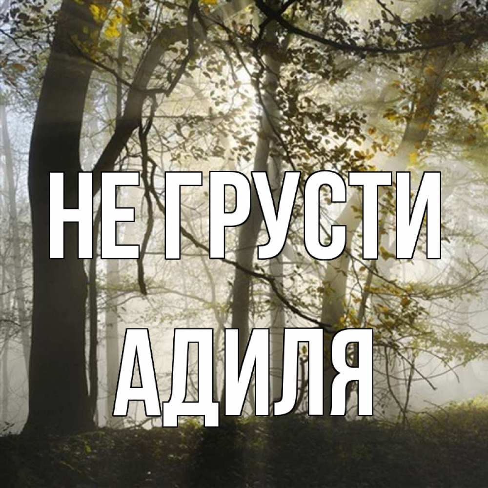 Открытка на каждый день с именем, Адиля Не грусти лес и свет Прикольная открытка с пожеланием онлайн скачать бесплатно 