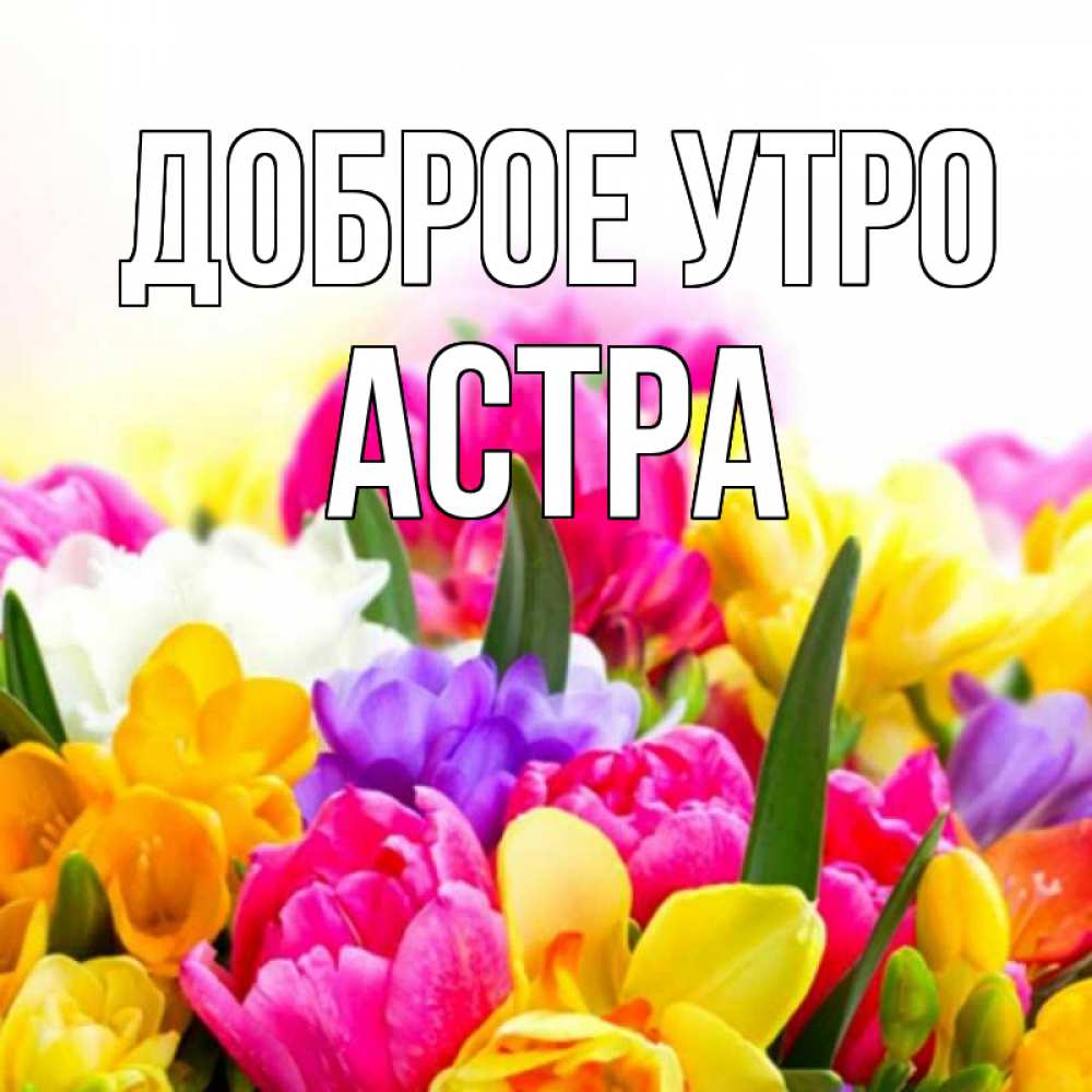 Открытка на каждый день с именем, Астра Доброе утро создать открытку со свое подписью Прикольная открытка с пожеланием онлайн скачать бесплатно 