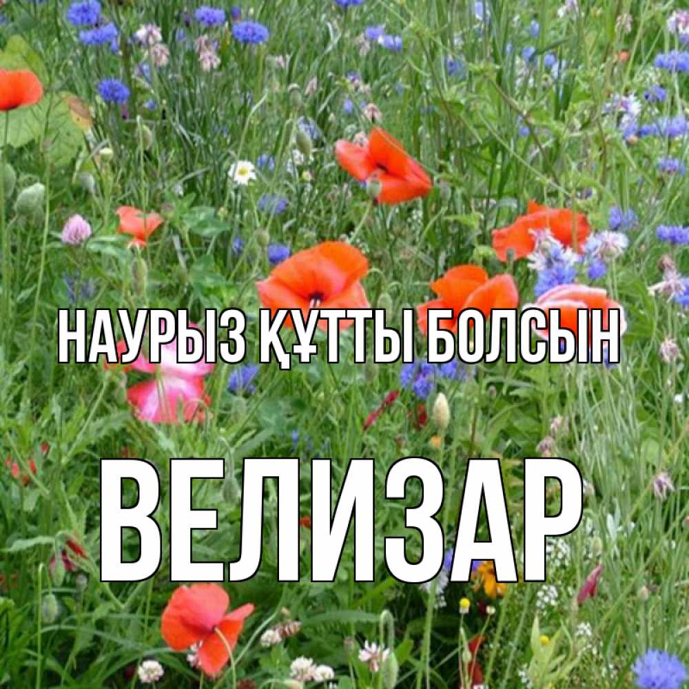 Открытка на каждый день с именем, Велизар Наурыз құтты болсын наурыз  4 Прикольная открытка с пожеланием онлайн скачать бесплатно 