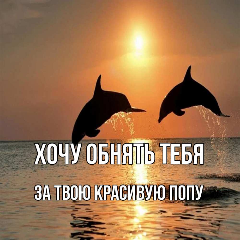 Открытка на каждый день с именем, За-твою-красивую-попу Хочу обнять тебя рыбы на закате Прикольная открытка с пожеланием онлайн скачать бесплатно 