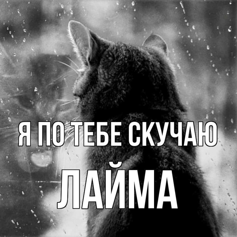 Открытка на каждый день с именем, Лайма Я по тебе скучаю скорее ко мне приходи 1 Прикольная открытка с пожеланием онлайн скачать бесплатно 