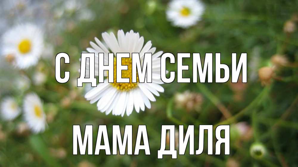 Открытка на каждый день с именем, Мама-Диля С днем семьи с днем семьи Прикольная открытка с пожеланием онлайн скачать бесплатно 
