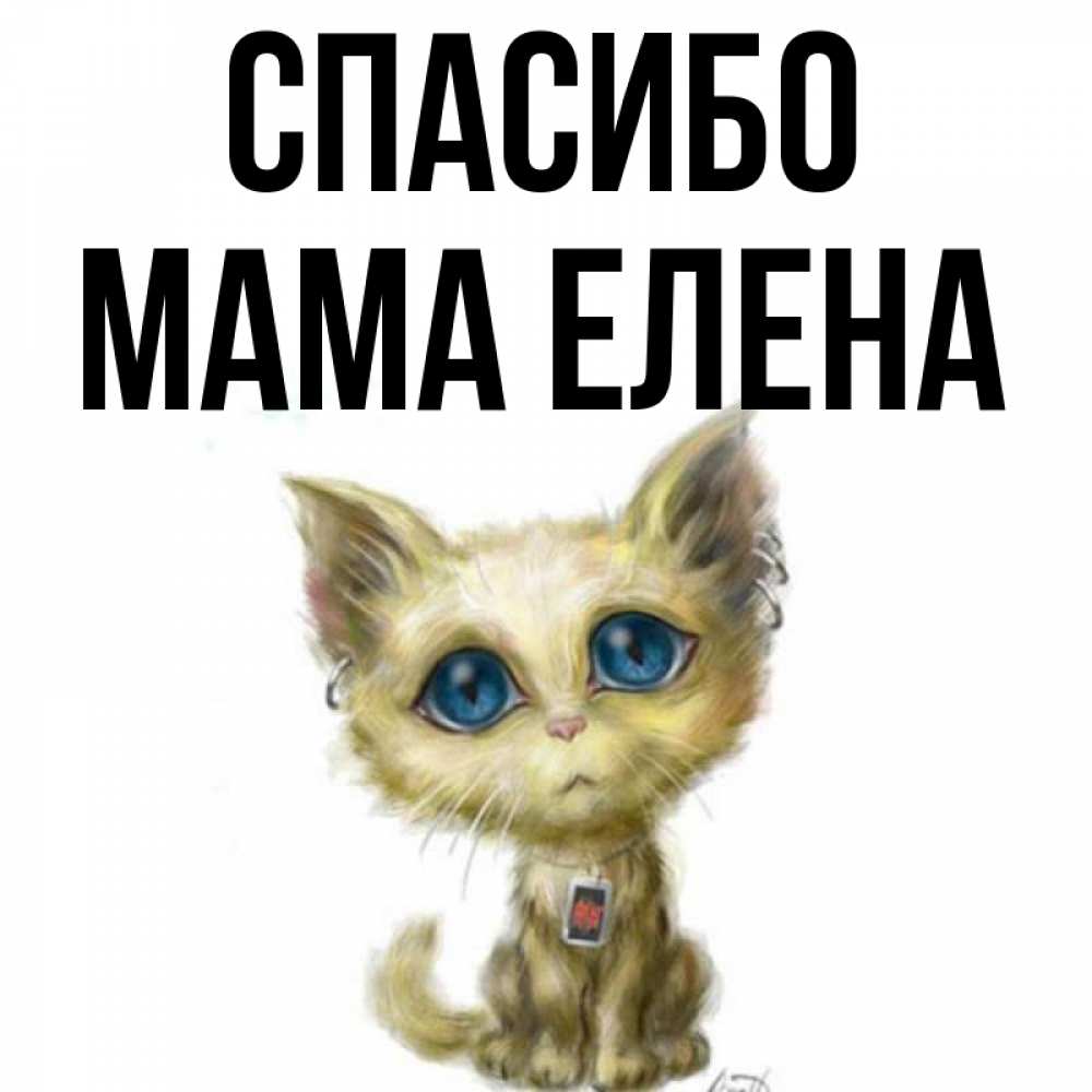 Открытка на каждый день с именем, Мама-Елена Спасибо рисованный кот благодарит вас Прикольная открытка с пожеланием онлайн скачать бесплатно 