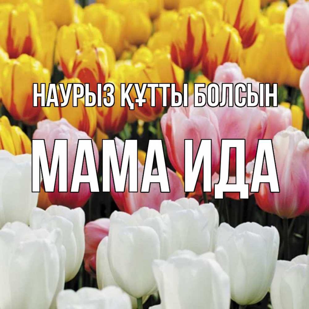 Открытка на каждый день с именем, Мама-Ида Наурыз құтты болсын разноцветные цветы Прикольная открытка с пожеланием онлайн скачать бесплатно 