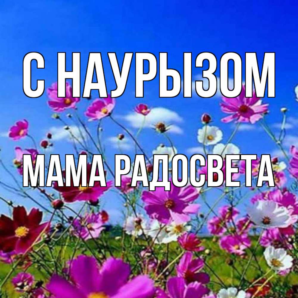 Открытка на каждый день с именем, Мама-Радосвета С наурызом цветы Прикольная открытка с пожеланием онлайн скачать бесплатно 
