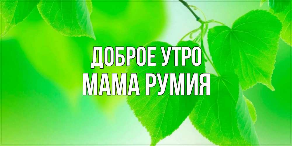 Открытка на каждый день с именем, Мама-Румия Доброе утро доброе утро с березовыми листьями Прикольная открытка с пожеланием онлайн скачать бесплатно 